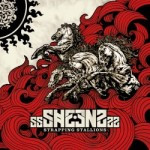 ssSHEENSss – Strapping Stallions