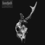 Leeched – You Took The Sun When You Left