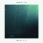 Novarupta – Marine Snow