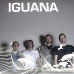 Iguana