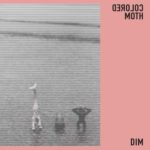 Colored Moth - DIM