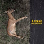 À Terre - Embrasser La Nuit