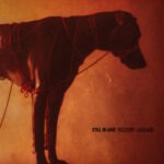 Still In Love - Recovery Language