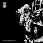 STORMO - Sogni Che Invadono Il Cielo