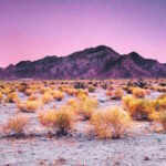 Turned To Stone Chapter 10