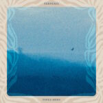 Could Seed – Terminal